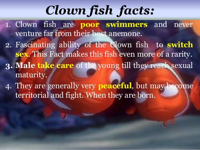 Mouth Rinse For Gingivitis Clown Fish Sex